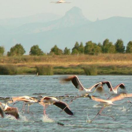 Agriturismo Bachile Bertula Villa Riola Sardo Buitenkant foto