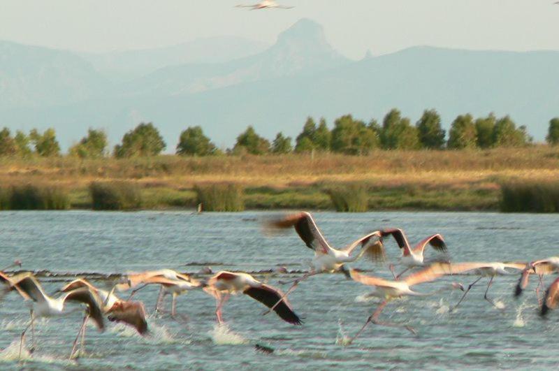 Agriturismo Bachile Bertula Villa Riola Sardo Buitenkant foto